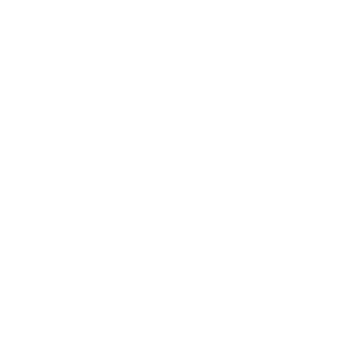 Jestery 